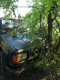 samochód erenowy w koloze zielonym, przód samochodu wbity w  drzewo
